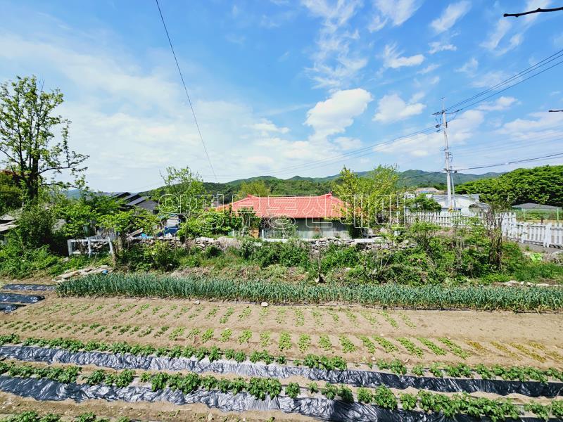 양평군 옥천면 용천리 지상권주택 3천만원_1